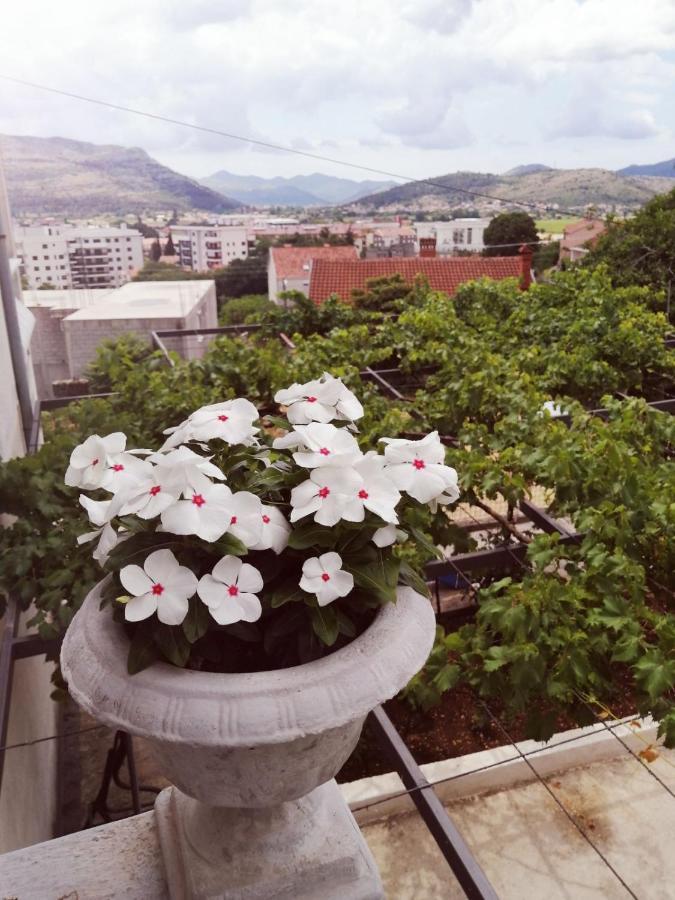 Nemanja Apartment Trebinje Exterior photo
